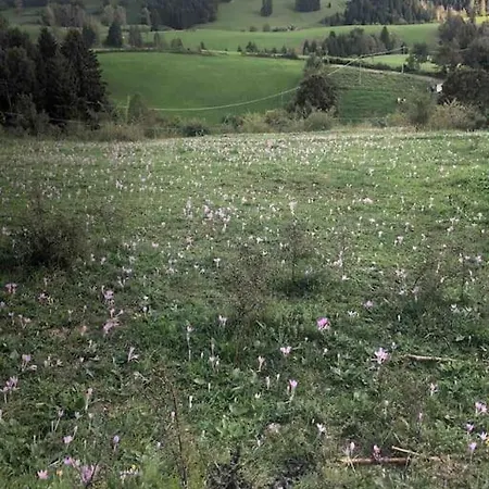 Attico Con Vista Altopianoasiago *